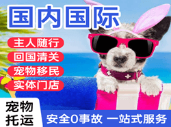昭苏天马航空物流国际宠物托运 【国